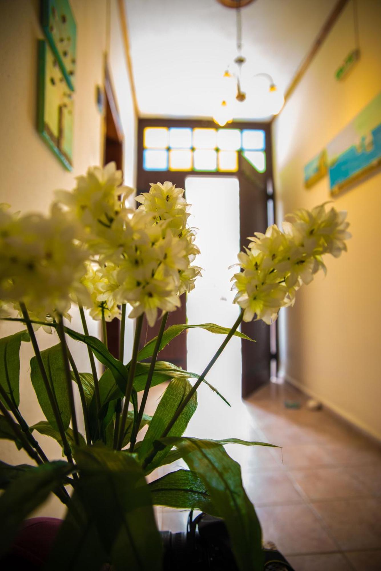 Olga Studios Afissos Quarto foto